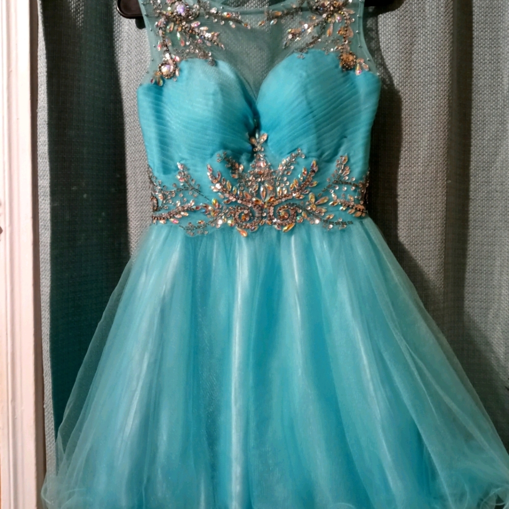 Prom or Quincinetta dress